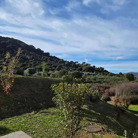 T3 Cosy * Αζάτσιο