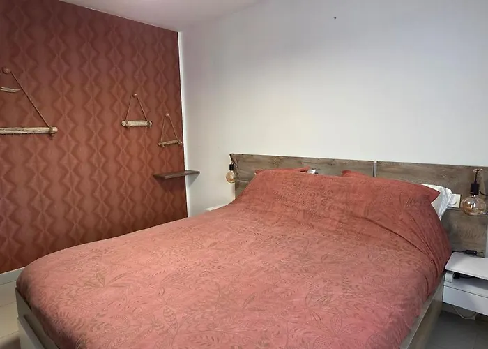 Apartment T3 Cosy Ajaccio (Corsica)